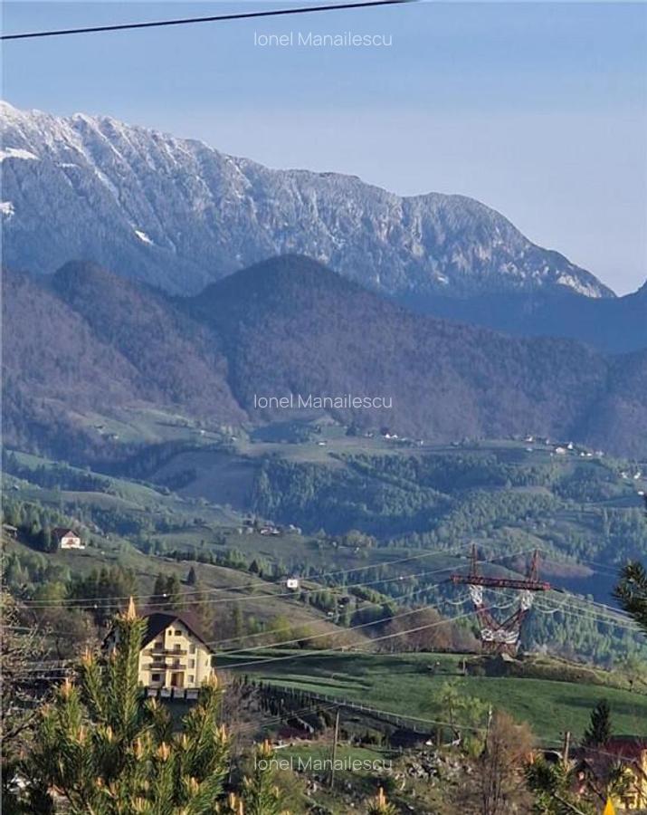 7.000 mp, pozitie spectaculoasa, fara vecini, Fundatica, Bra - 11
