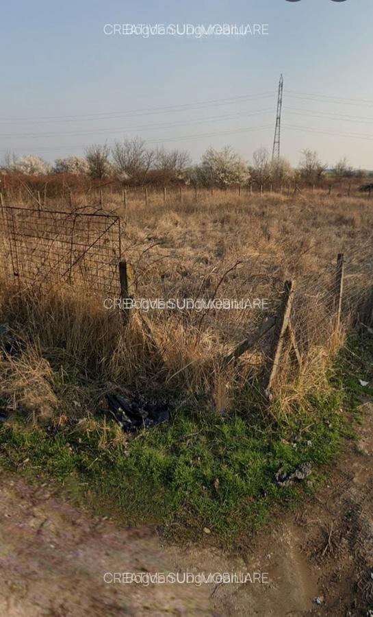Teren Intravilan - 1.000 mp - Zona Buna - Strazi Asfaltate - 3