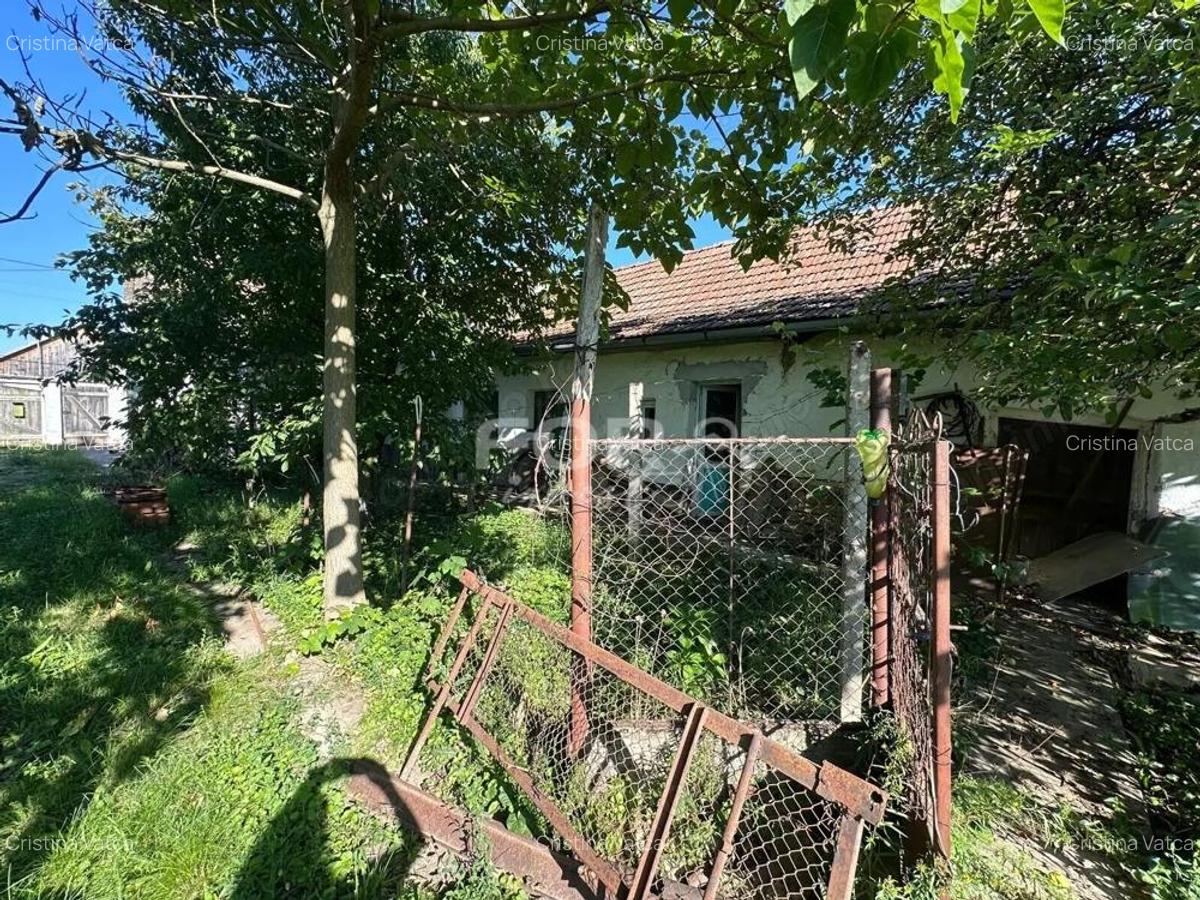 Teren intravilan de vanzare 3000 mp comuna Tamaseu Bihor - 8