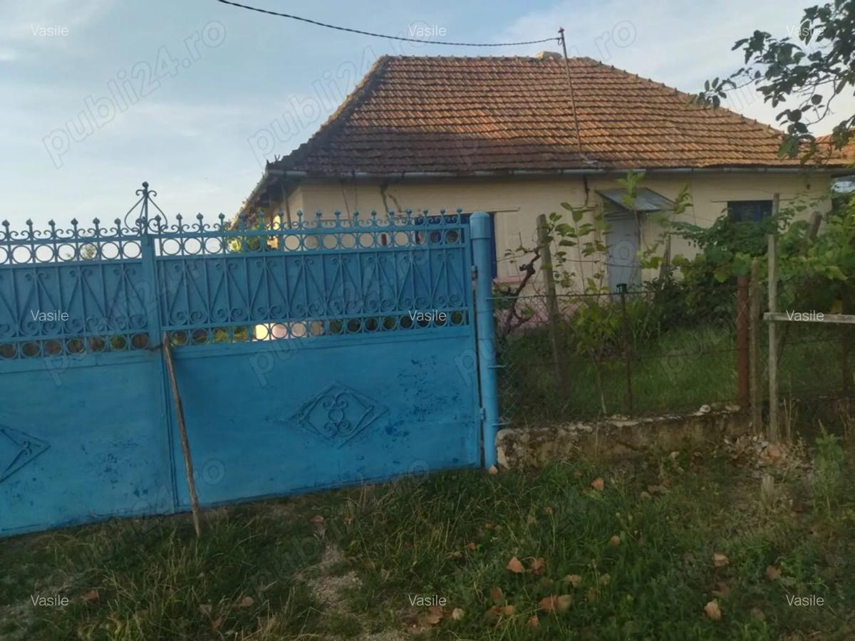 Vand casa locuibila cu vie ?i teren In sat Doh, comuna Maeriste - 1