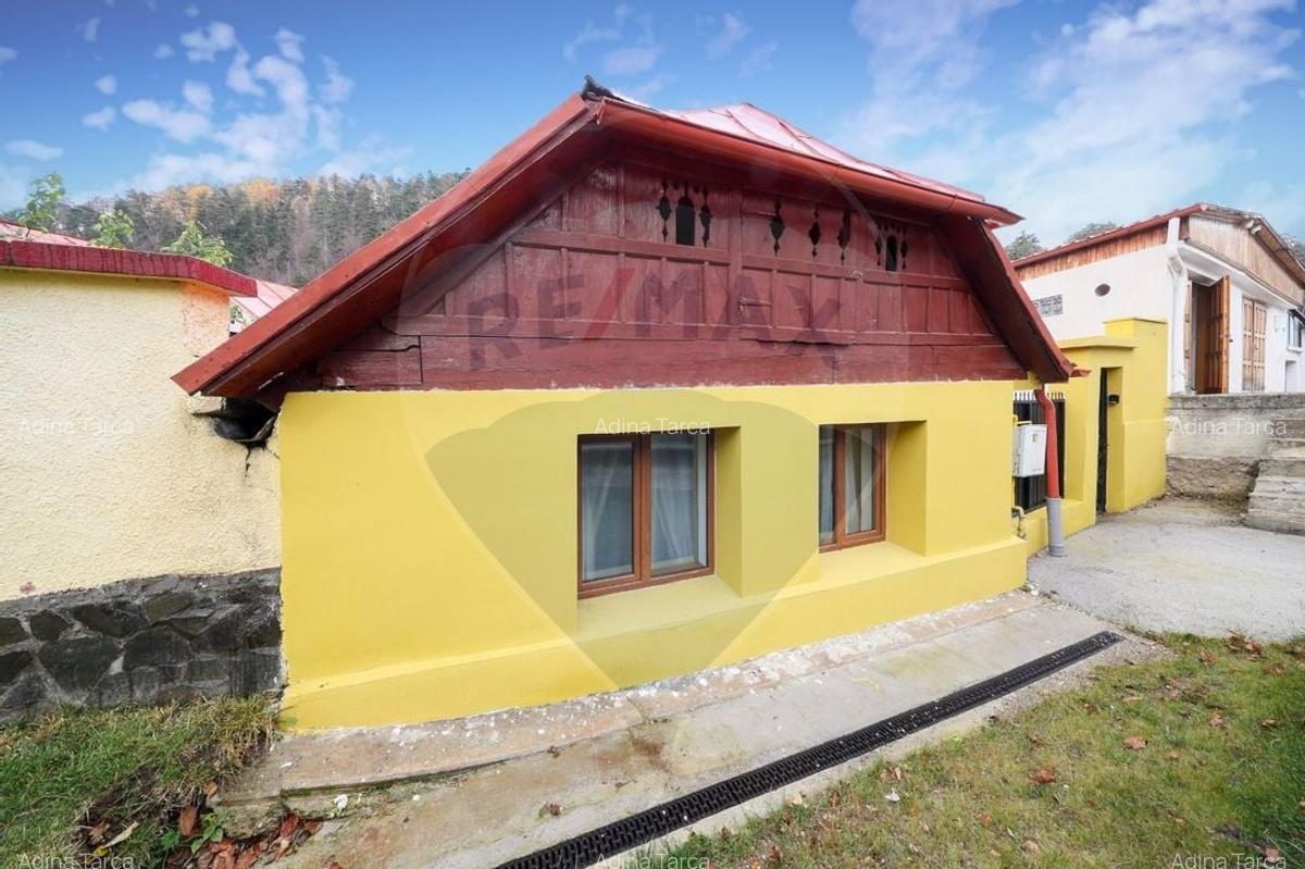 Casa cu 2 camere + curte 40 mp in zona Centrul Istoric - 17