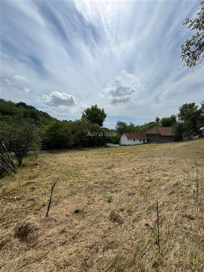 RECO Casa batraneasca cu teren generos la Lupoaia -Holod - 14