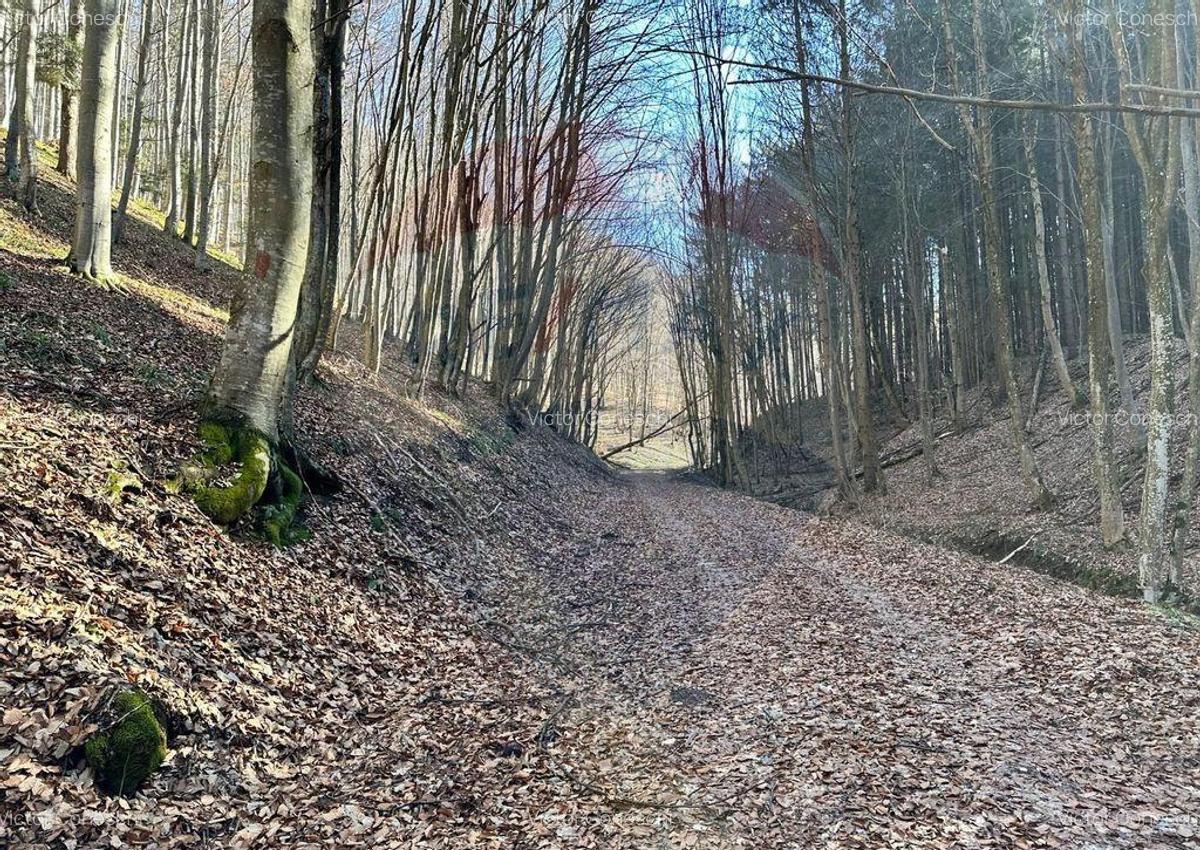 Teren de vanzare 53,723mp Codlea / Nord-Vest - 9