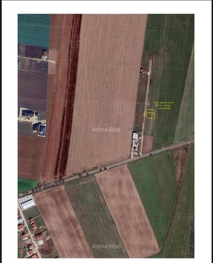 Teren Construcții intravilan de 558 mp, în Livada de Bihor - 2
