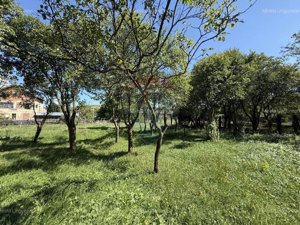 Casa la tara | Calatele | Teren 2100 mp | Exclusivitate | Comision 0% - 11