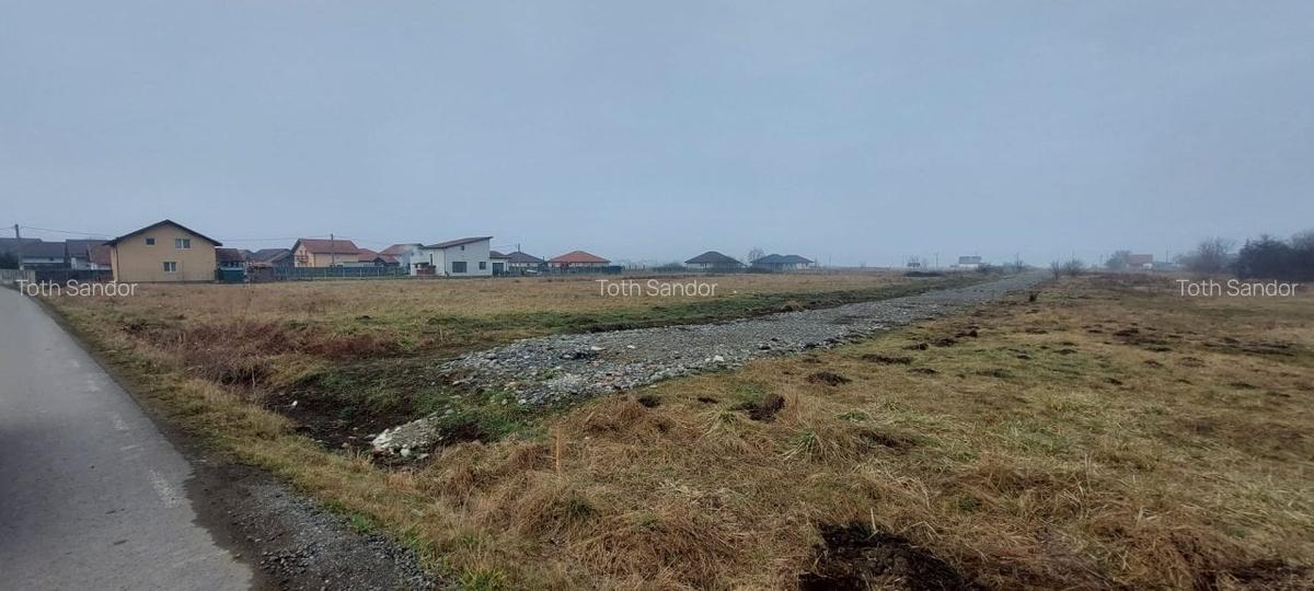 Imobilstar vinde teren pentru case in Ernei - 3