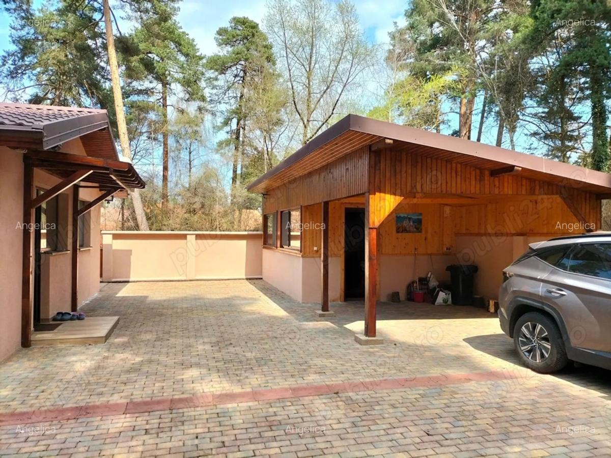 Casa de vacanta langa lacul Reci zona Mestecanis - 4