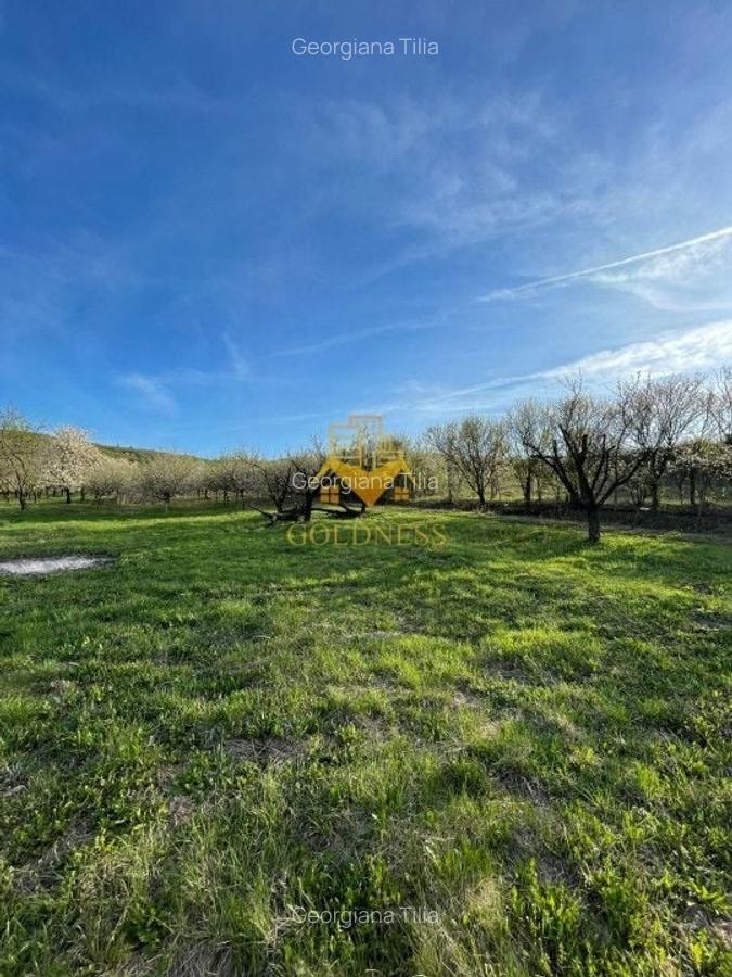 Teren agricol intravilan de 5500 mp, în Sopor - 1