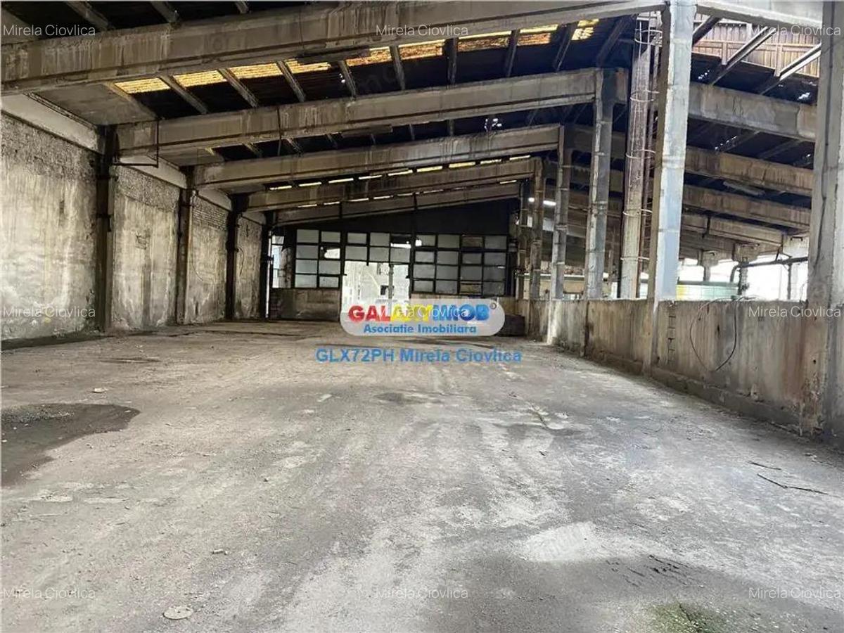 Vanzare Spatiu Industrial Pleasa - 5