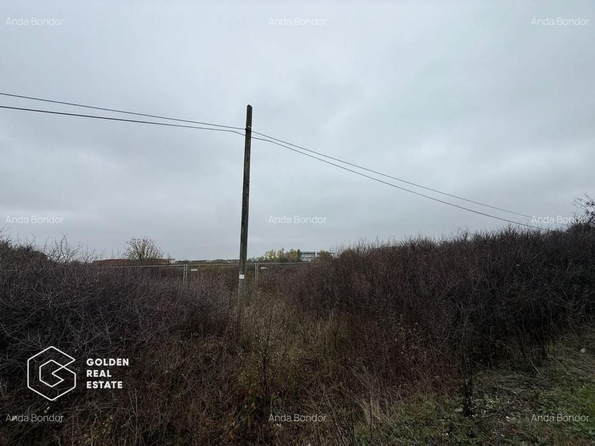 Terenuri pentru Hale si Constructii Industriale, Chișoda / Giroc,Timiș - 2