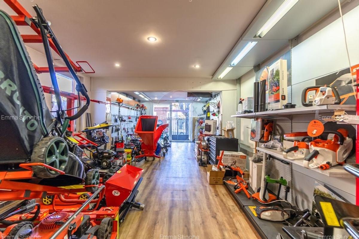 Proprietate mixta cu spatiu comercial si locuinta Strada Aurel Vlaicu - 10