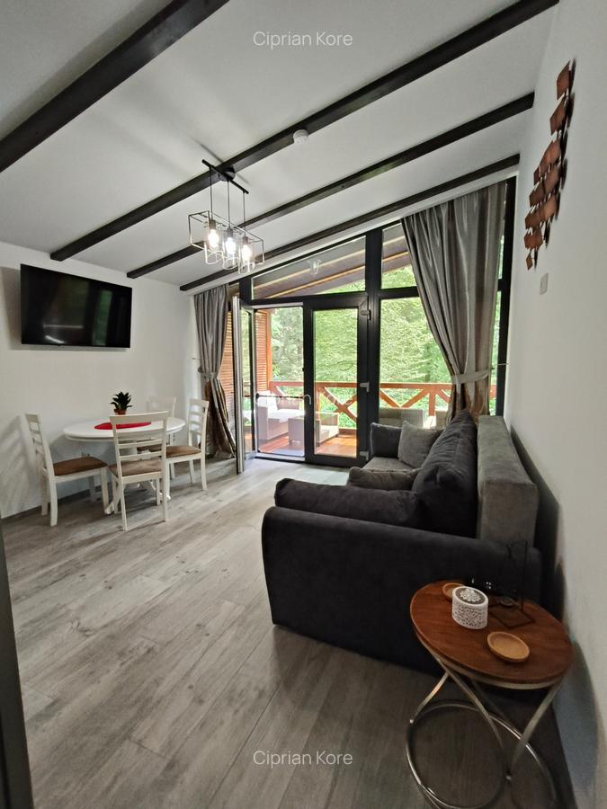 Vila noua de inchiriat in Busteni - 5