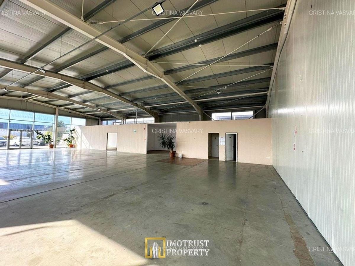 Hala mixta 800 mp de inchiriat – showroom, birouri, depozit – Arad - 5