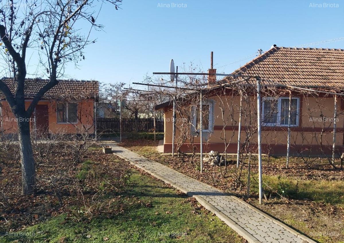 Casa plus teren Andrasesti - 2