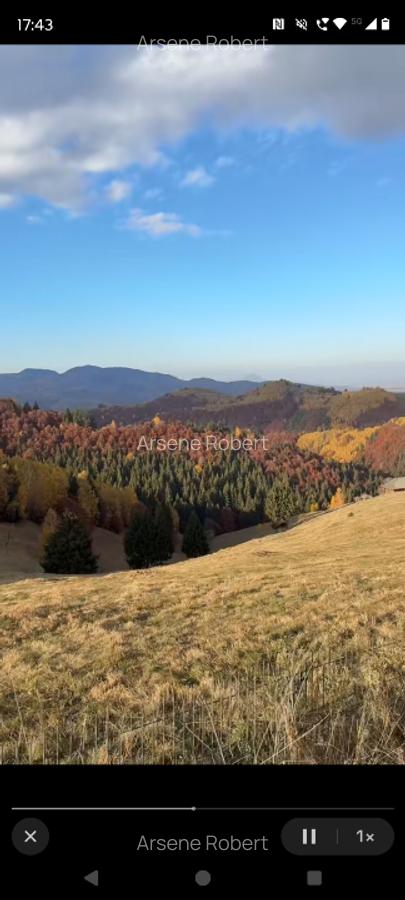 Teren la munte pentru cabanuta intre Breaza si Sinaia - 4