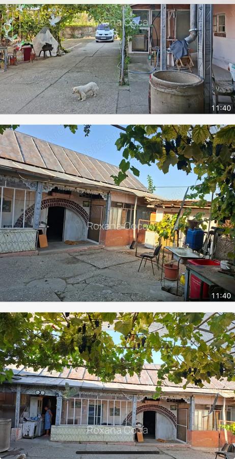 Gospodarie superba cu 3 dormitoare 2 bai si gradina - 9