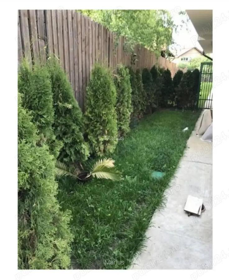 Particular Apartament 2 camere Pipera Rond OMV terasa 30mp - 5