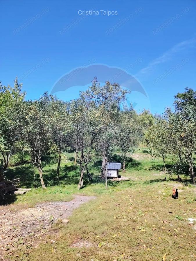 EXCLUSIVITATE! Casa veche si teren 30 ari, centru Mirsid - Comision 0% - 4