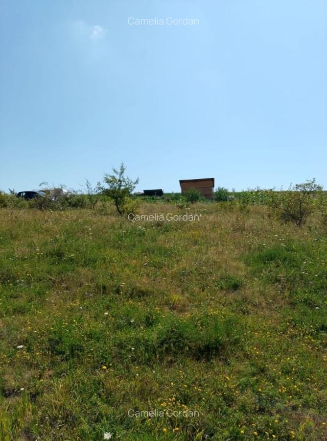 Vanzare 2 parcele de teren intravilan, Chinteni, pret unitar 10900 Eur - 3