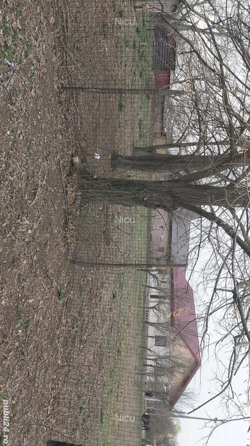 Vand casa cu curte in jud Calara?i - 10