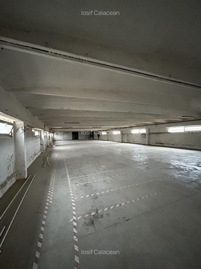 Hala Industriala Gradiste De Inchiriat - 6