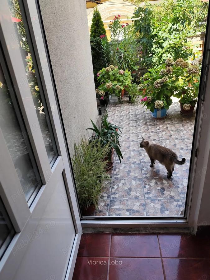Ofer spre inchiriere garsoniera la curte intrare separate - 9