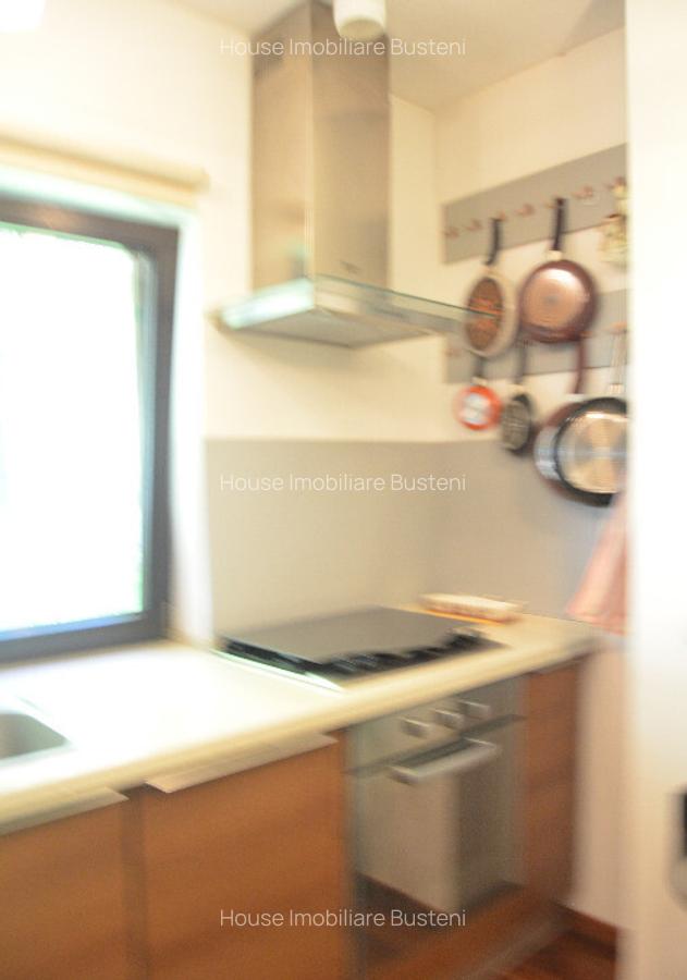 Vila de vacanta situata in Predeal-Cioplea - 3