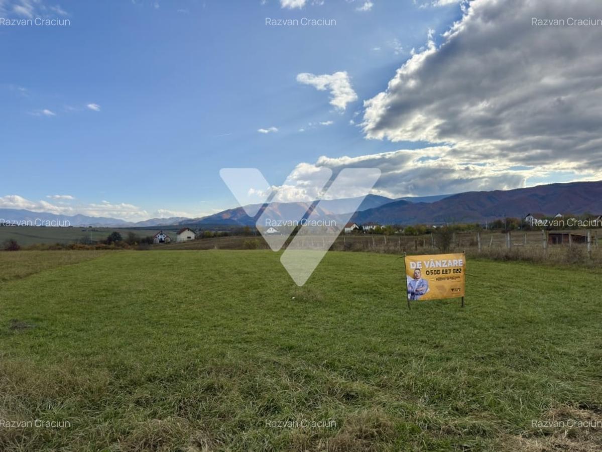 Teren intravilan superb 1200 mp de vanzare in Calea Cisnadiei Sibiu - 2