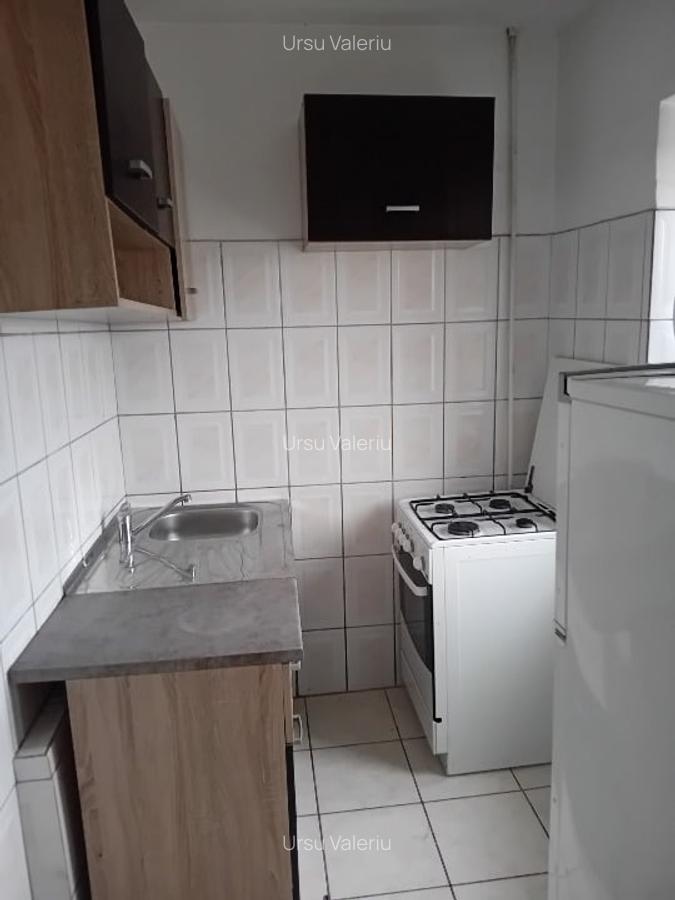 Apartament cu 1 camera pe  Calea Aradului lângă Iulius Mall, bine interconectat - 5