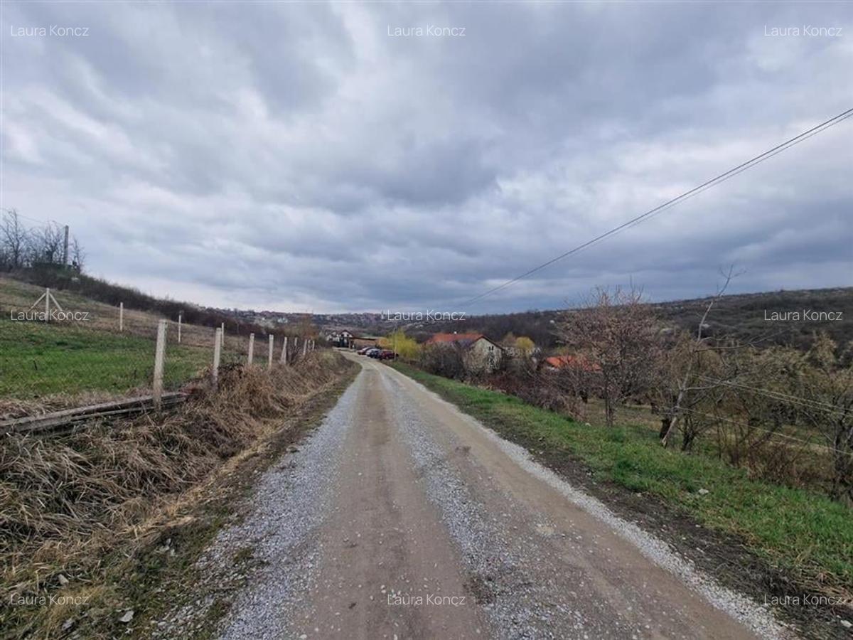 Teren Construcții intravilan de 1000 mp, în Săldăbagiu de Munte - 2