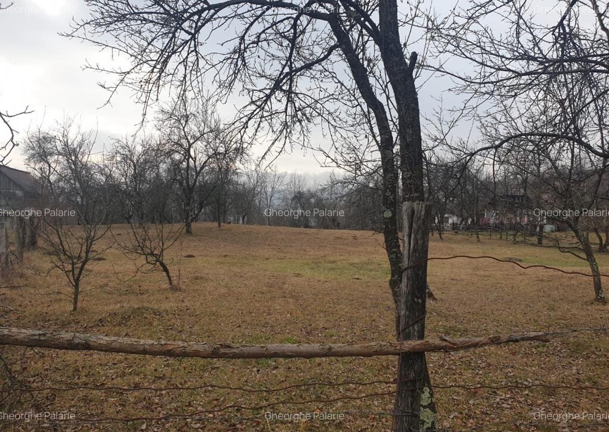 Vand teren 2911mp intravilan, sat Brebu, jud. Dambovita - 3