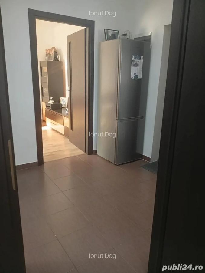 Apartament 2 camere Postalionului sector 4 - 3