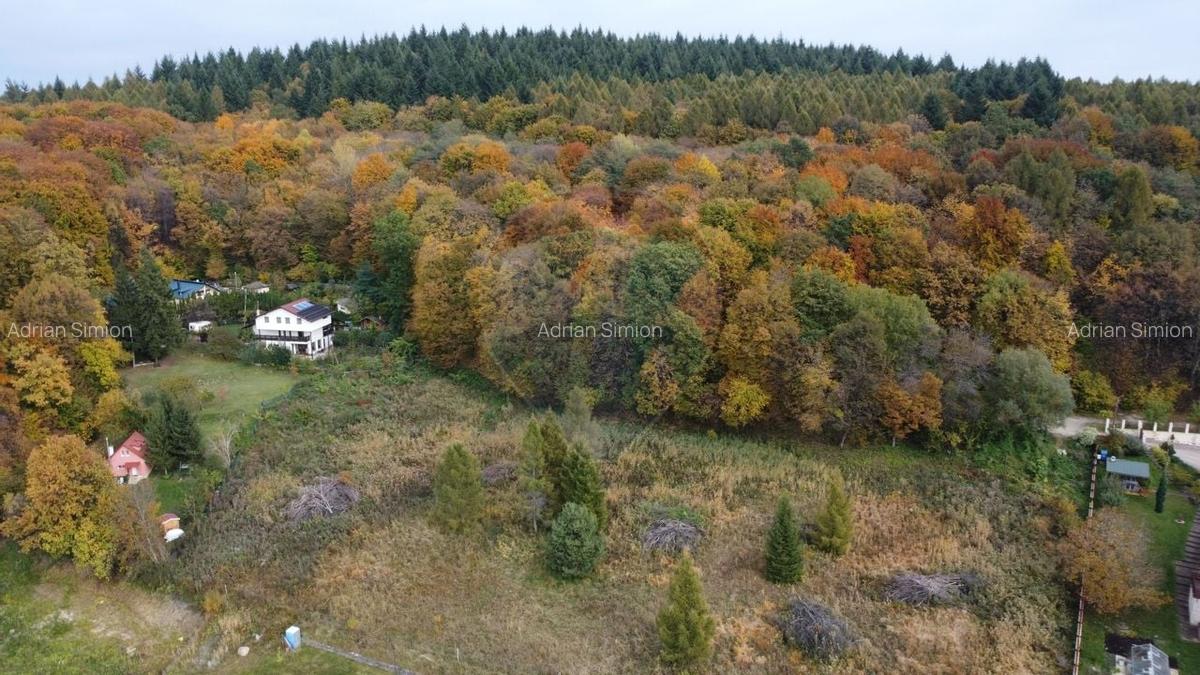 Teren de vanzare in Faget 1542 mp cu panorama - 19