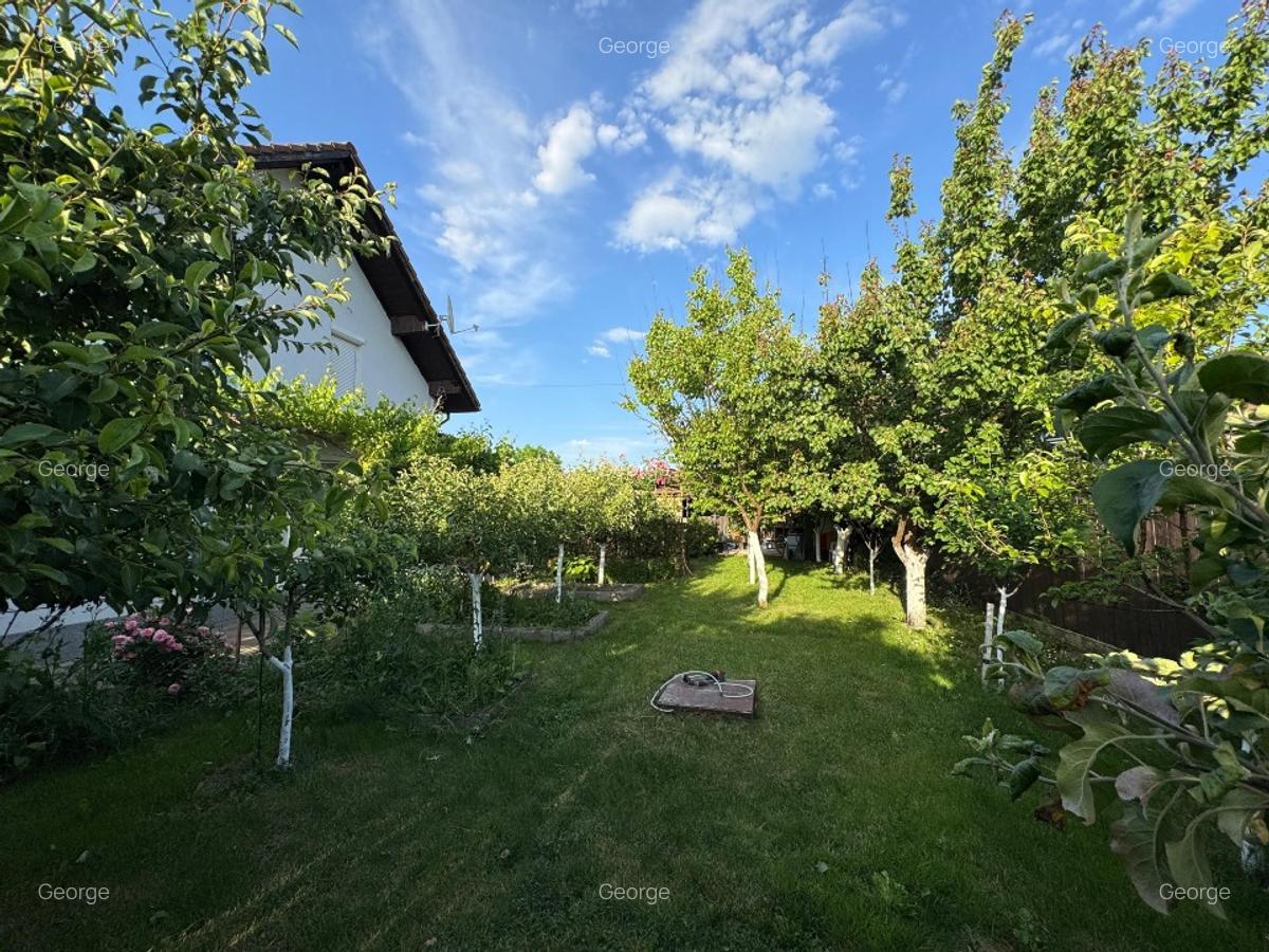 Proprietar vand imobil individual in zona periurbana a Municipiului Timisoara - 5 Proprietar vand imobil individual in zona periurbana a Municipiului Timisoara - 5