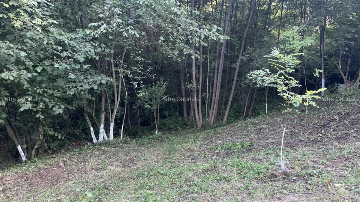 Casa situata intr-o zona superba - 9