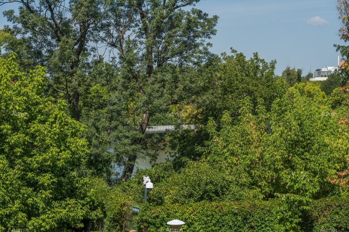 Malul lacului Bordei,Cartier Primaverii,apartament 4 cam (190mp utili) - 15 Malul lacului Bordei,Cartier Primaverii,apartament 4 cam (190mp utili) - 15