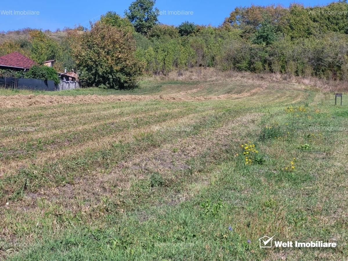 Teren de vanzare - Popesti Vale, 3600 mp - 1