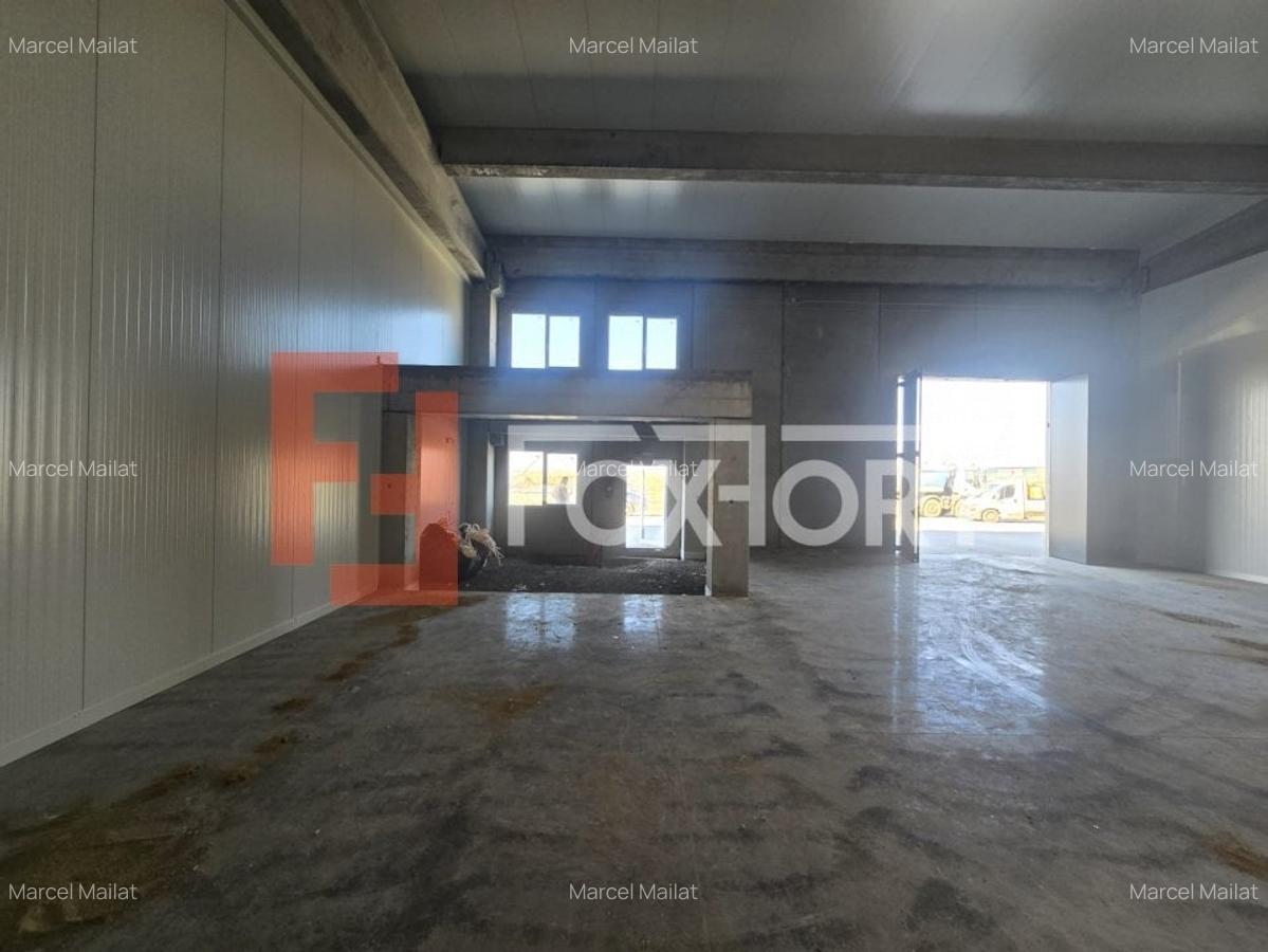 Spațiu industrial, 524 mp în Sânandrei - 4