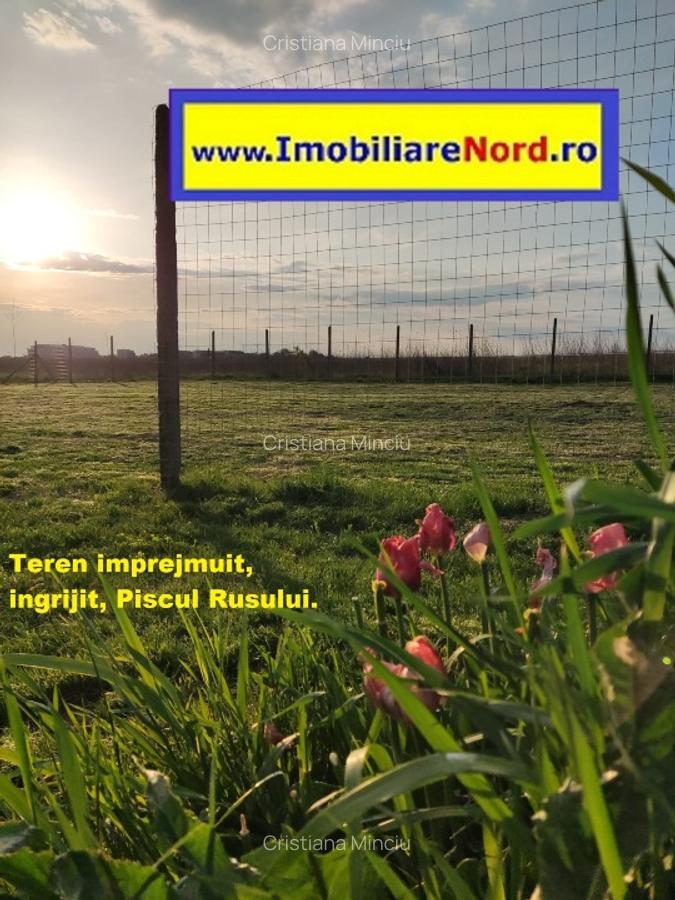Teren Drumul Piscul Mare, Cartierul Padurea Baneasa(zona cu PISCURI) - 6