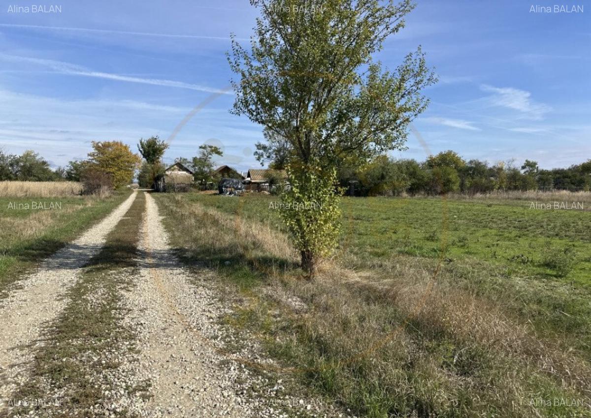 Teren Intravilan com. Ratesti - 4