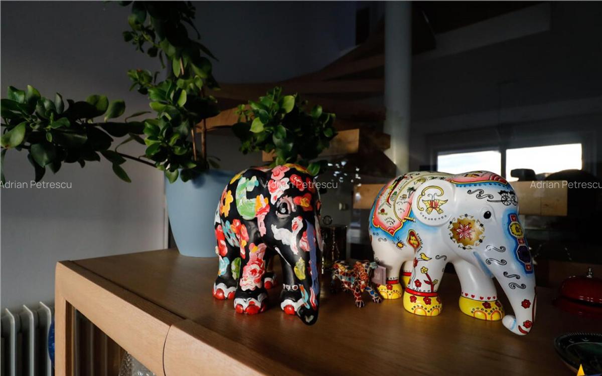 Proprietate iconica,panorama 360,teren 1.600 mp,origina... - 9