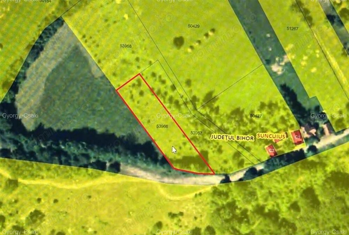 Teren intravilan de vanzare in ?uncuiu? panorama formidabila! - 5