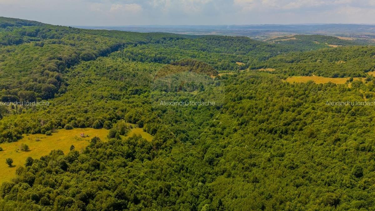 Teren intravilan de 6155 mp, în Grid - 13