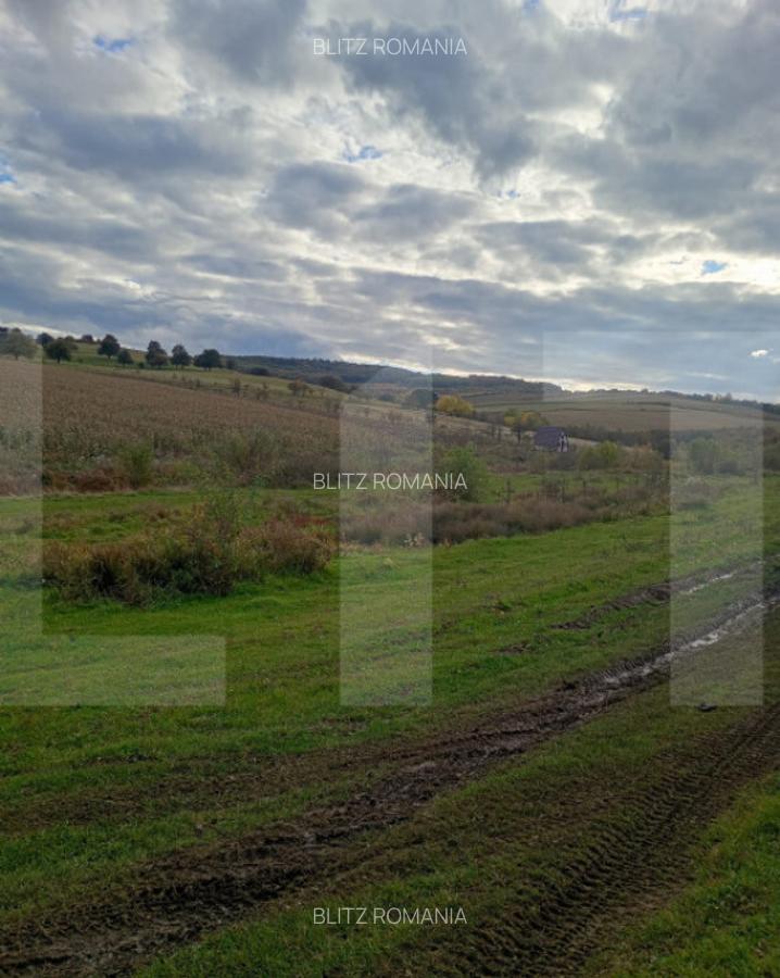 Teren de investitie 1760 mp - 3