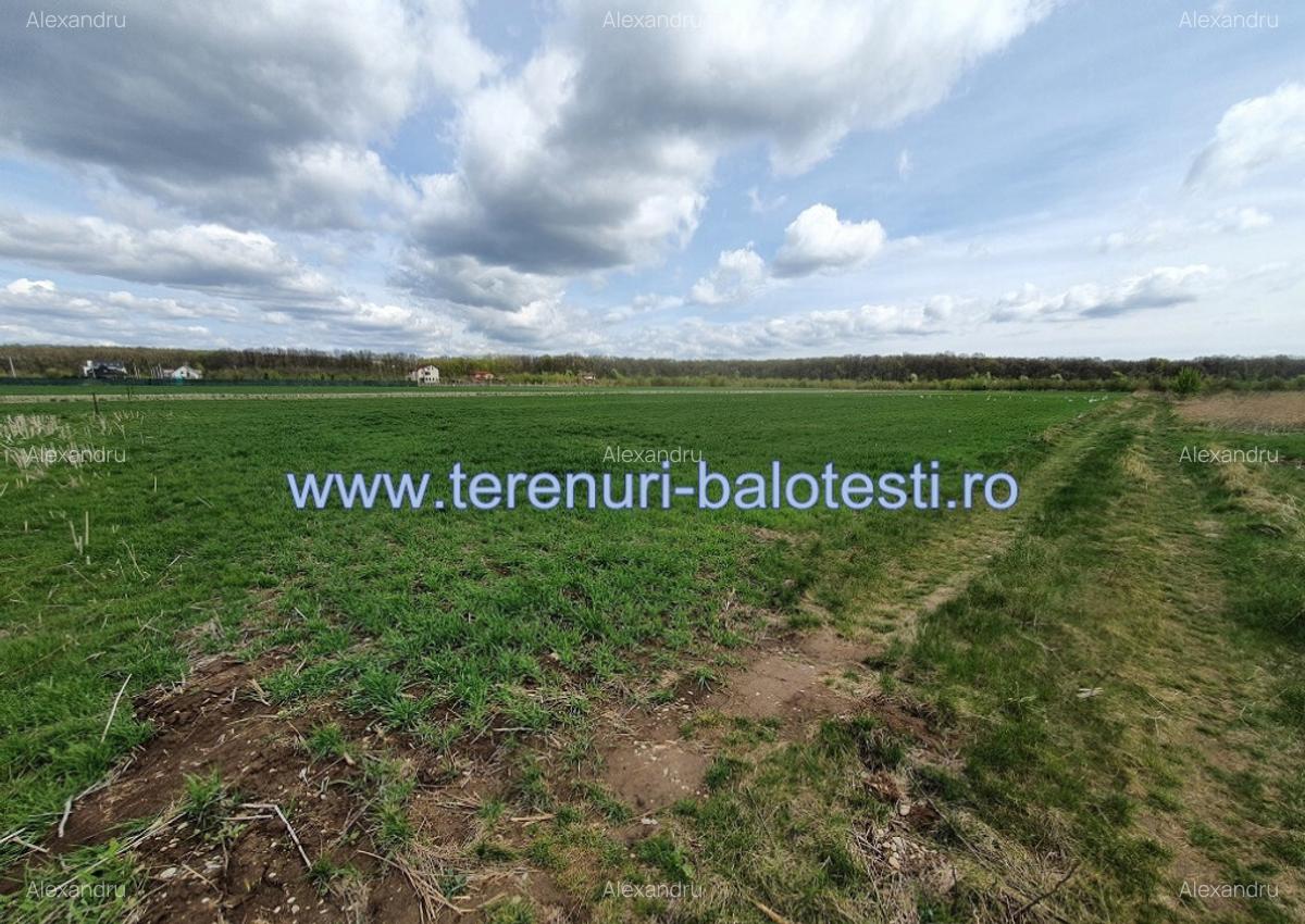 Teren langa padure si utilitati,800 mp,37000 euro - 14