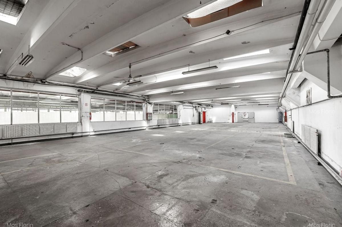 4.049 mp Hale industriale in Arad, aproape de A1 - 1