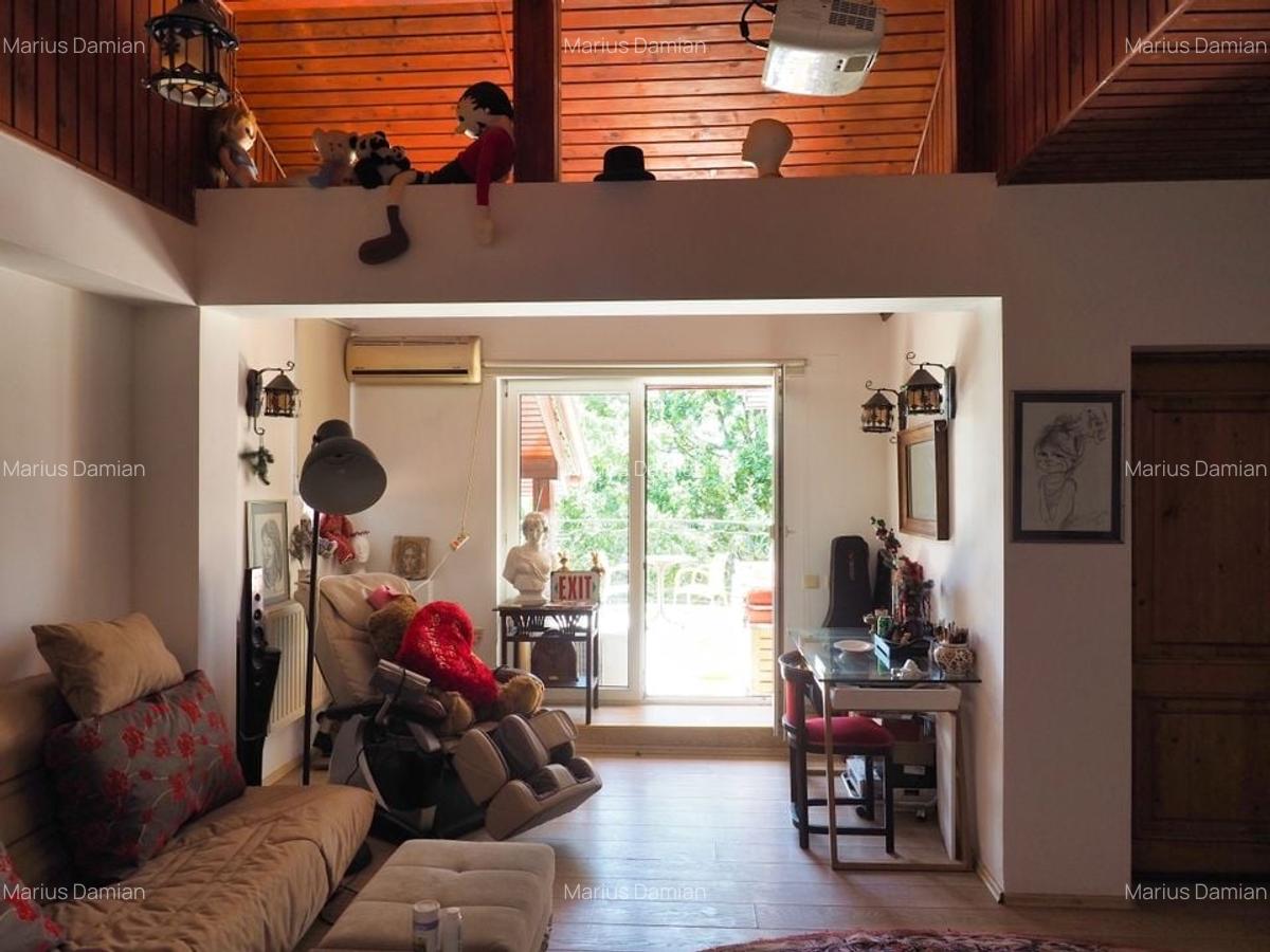 VILA 6 CAMERE SNAGOV IZVORANI LAC -TEREN 1800mp - 16