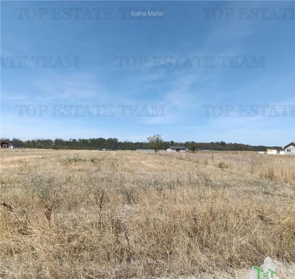 Teren intravila de / Pruni/ Magurele - 6