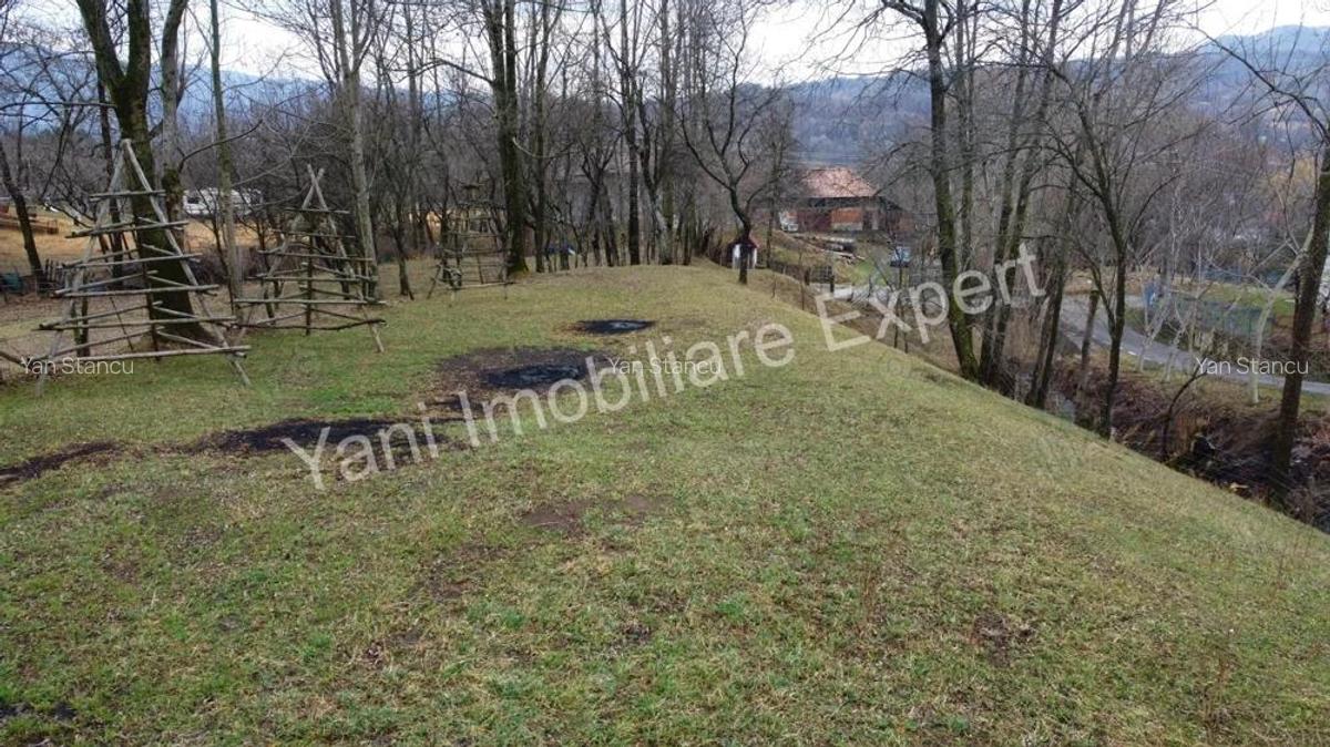 Teren de vanzare in comuna Arefu, jude? Arge?. - 19