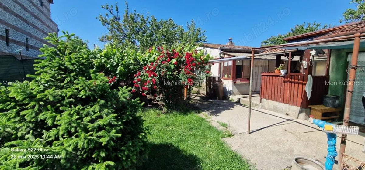 Casa confec?ii silvas - 3